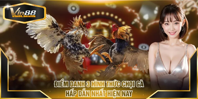 Điểm danh 3 hình thức chọi gà hấp dẫn nhất hiện nay