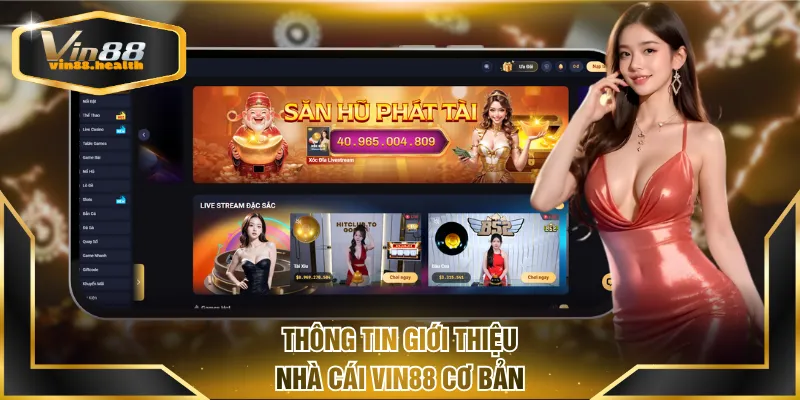Thông tin giới thiệu nhà cái VIN88 cơ bản